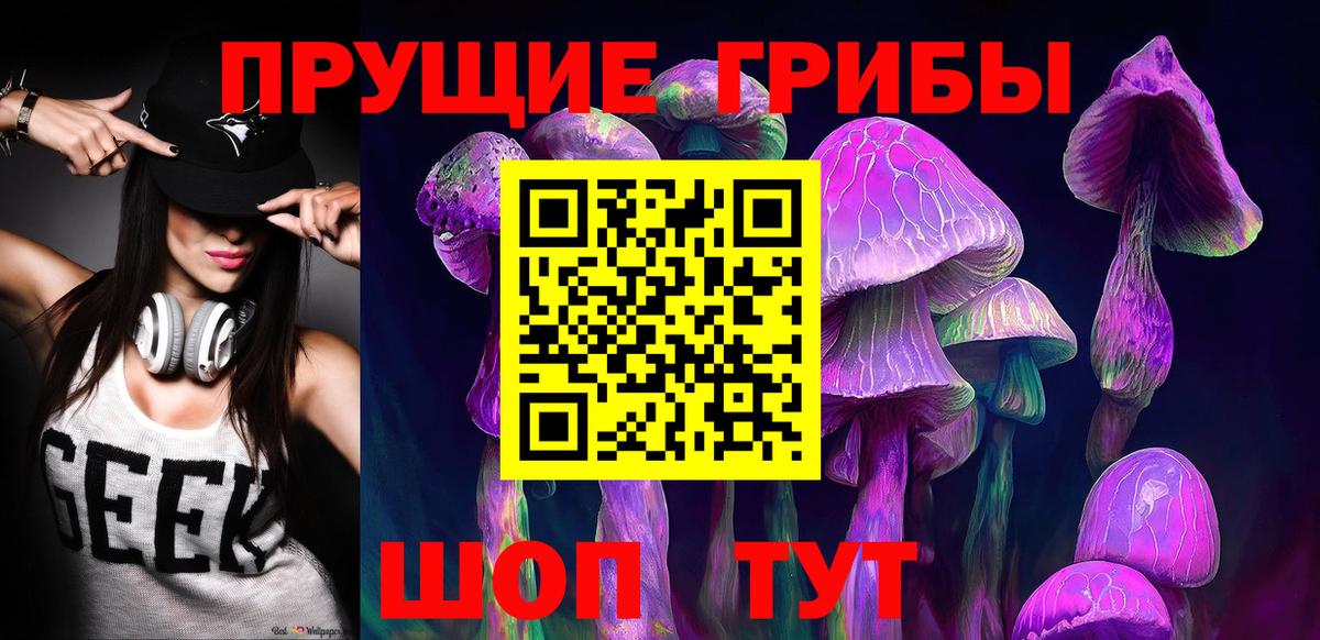 Новокубанск  Галлюциногенные грибы Cubensis  Вход с VPN 
